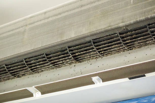 Best Air Duct Cleaning Company Near Me  in Little Rock, AR